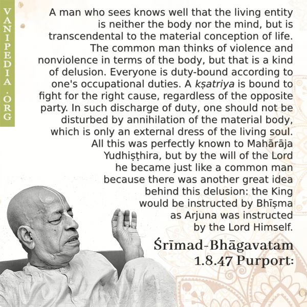 File:SB01.08.47 Image-quote.jpg