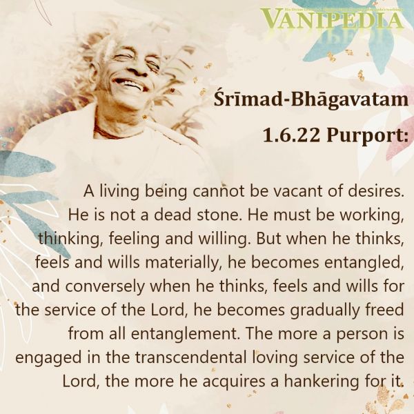 File:SB01.06.22 Image-quote.jpg