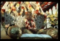 Thumbnail for version as of 09:56, 6 April 2008