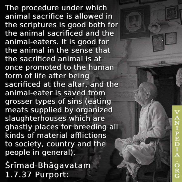 File:SB01.07.37c Image-quote.jpg