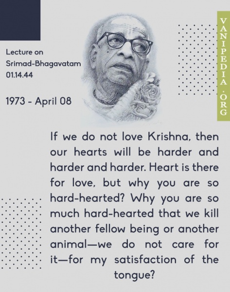 File:040873 Image-quote.jpg