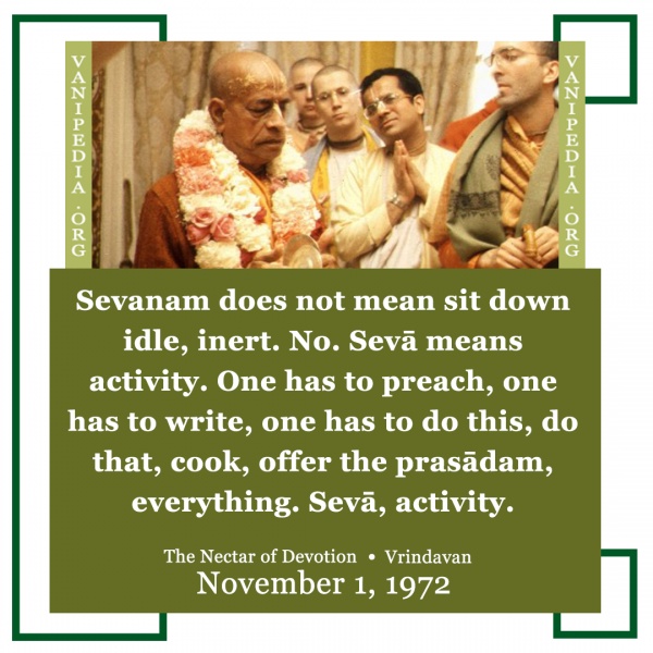 File:110172 Image-quote.jpg