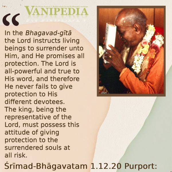 File:SB01.12.20 Image-quote.jpg