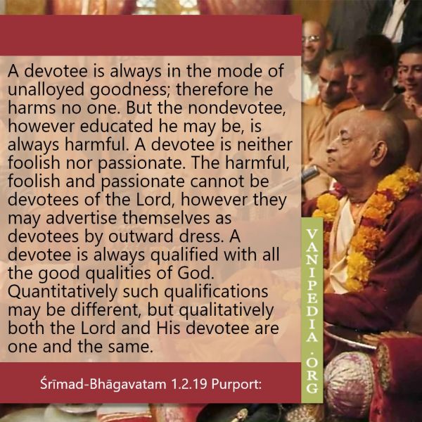 File:SB01.02.19 Image-quote.jpg