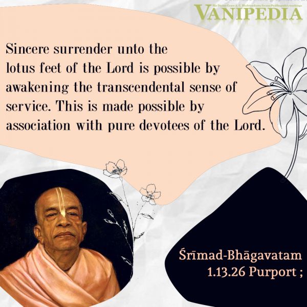 File:SB01.13.26b Image-quote.jpg