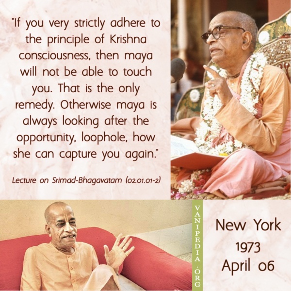 File:040673 Image-quote.jpg