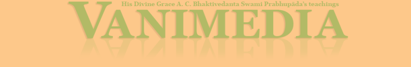 File:Vanimedia LOGO3.png