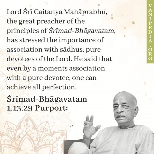 File:SB01.13.29 Image-quote.jpg