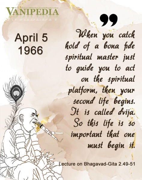 File:040566 Image-quote.jpg