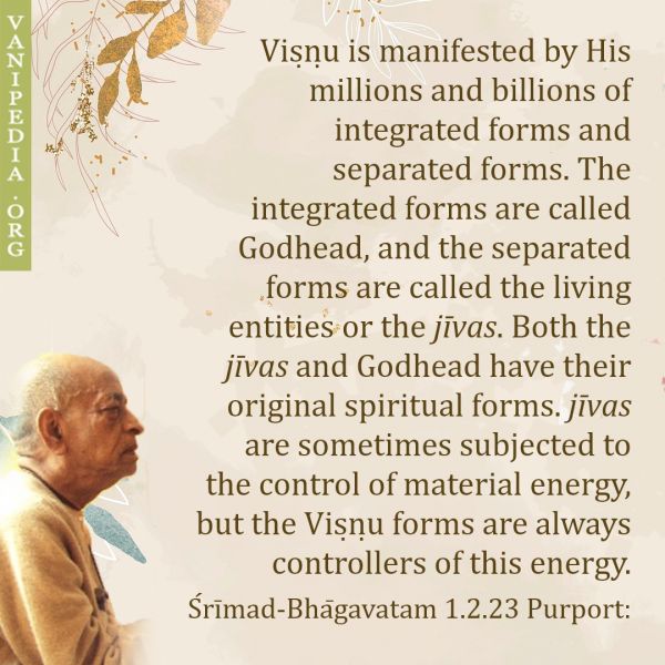 File:SB01.02.23 Image-quote.jpg