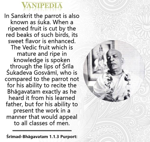 File:SB01.01.03 Image-quote.jpg