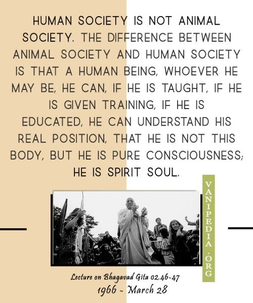 File:032866 Image-quote.jpg