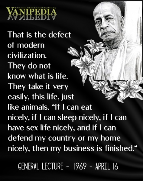 File:041669 Image-quote.jpg