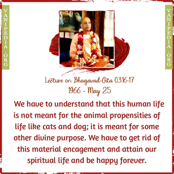 File:052566 Image-quote.jpg