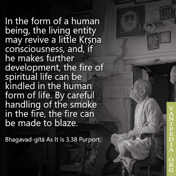 File:BG03.38 Image-quote.jpg