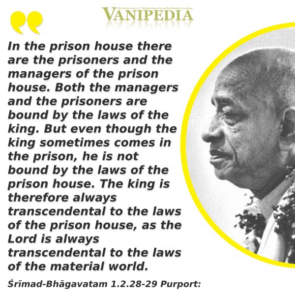 File:SB01.02.28-29 Image-quote.jpg