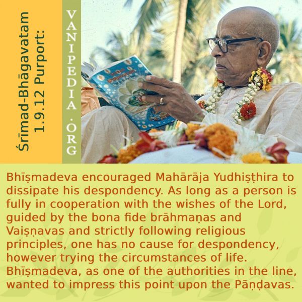 File:SB01.09.12 Image-quote.jpg