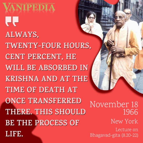 File:111866 Image-quote.jpg