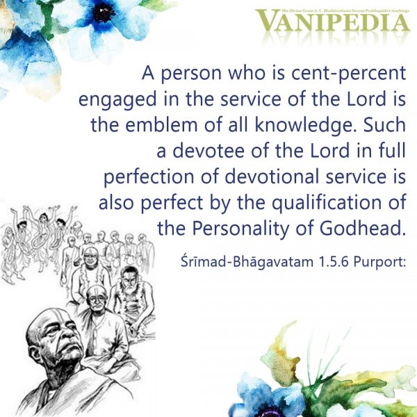 File:SB01.05.06 Image-quote.jpg