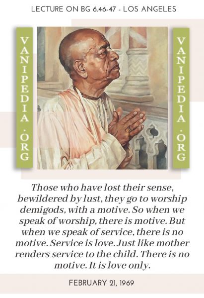 File:022169 Image-quote.jpg
