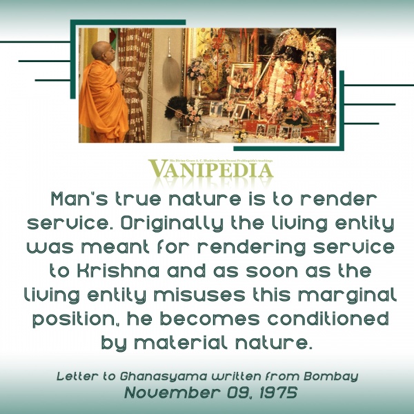 File:110975 Image-quote.jpg