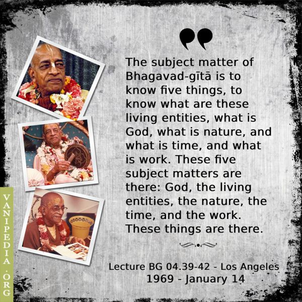 File:011469b Image-quote.jpeg