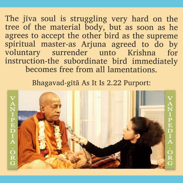File:BG02.22 Image-quote.jpg