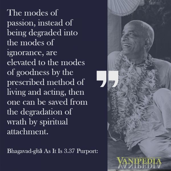 File:BG03.37d Image-quote.jpg