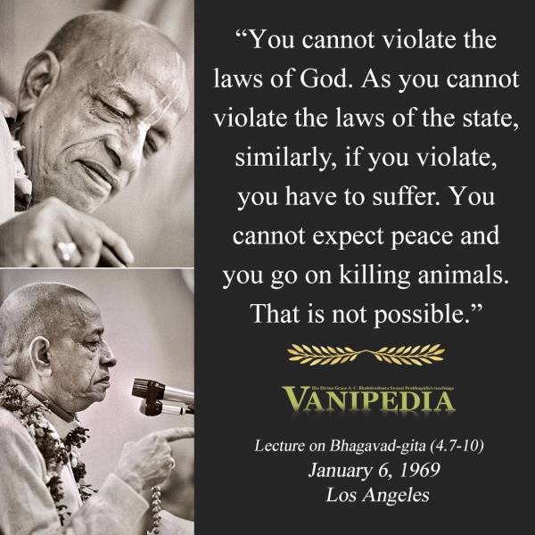 File:010669 Image-quote.jpg