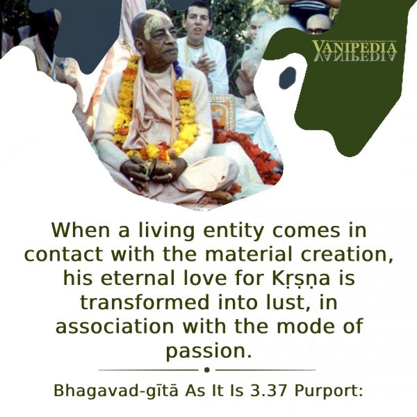 File:BG03.37 Image-quote.jpg