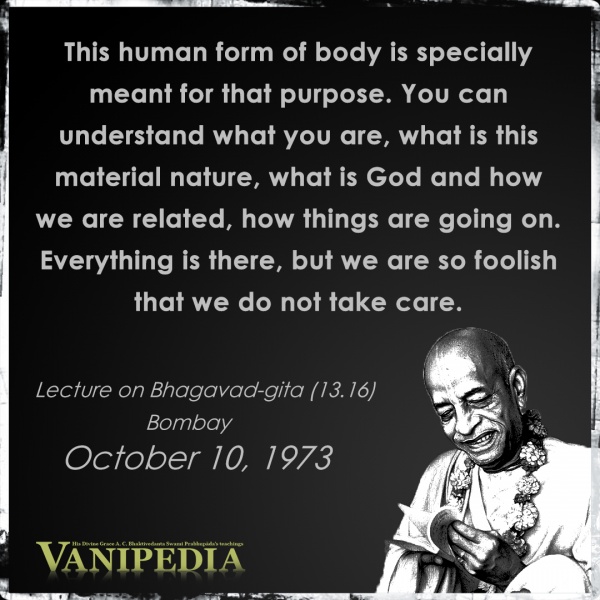 File:101073 Image-quote.jpg