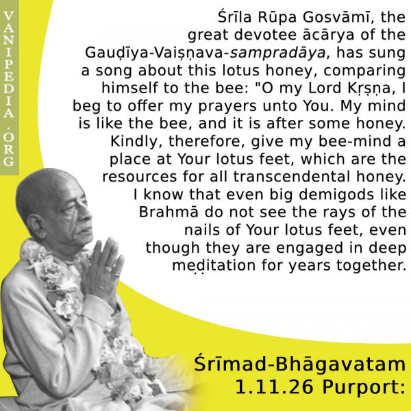 File:SB01.11.07 Image-quote b.jpg
