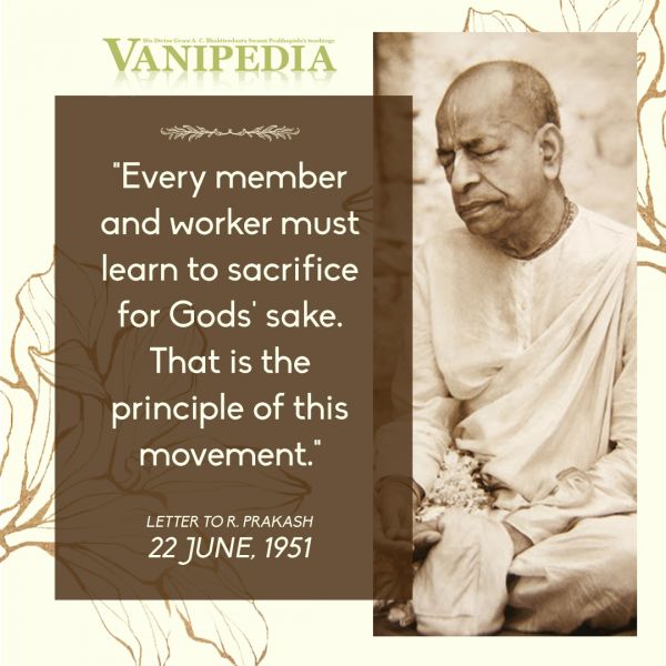 File:062251 Image-quote.jpg