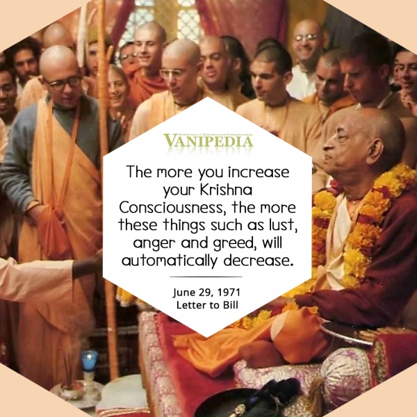 File:062971 Image-quote.jpg