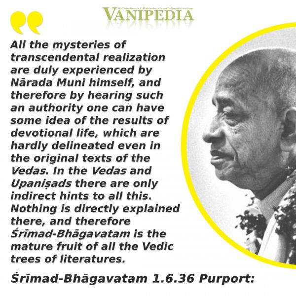 File:SB01.06.36 Image-quote.jpg