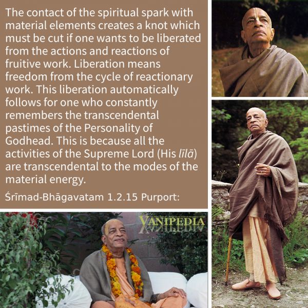 File:SB01.02.15 Image-quote.jpg